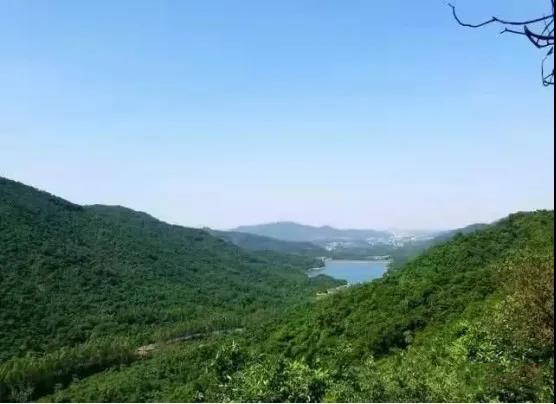 142e069302da8f656fbc1be0fe7e697c.jpg 001.jpg